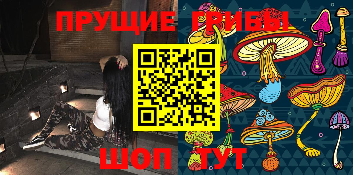 Галлюциногенные грибы GOLDEN TEACHER  Вход с VPN  Псилоцибиновые грибы Psilocybine cubensis  Казань 